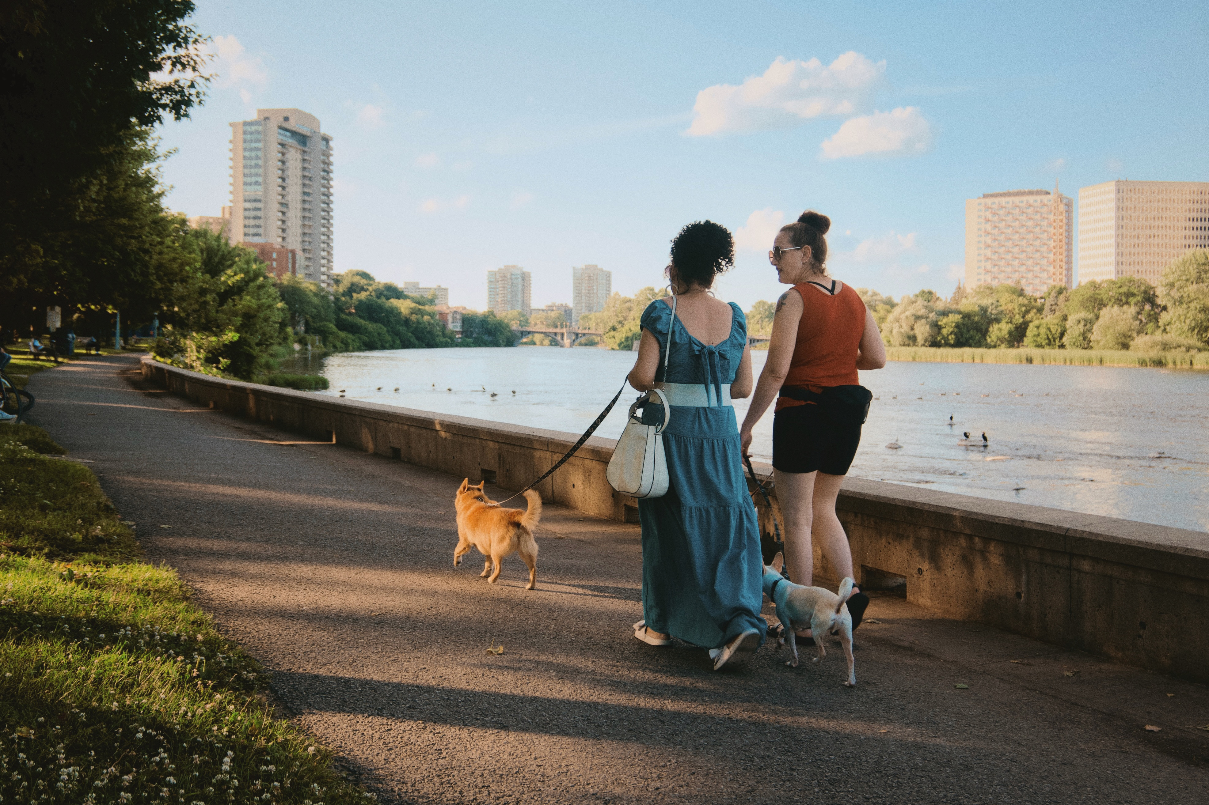 初夏傍晚的 Strathcona Park, 今年在渥太华拍到的最喜欢的照片